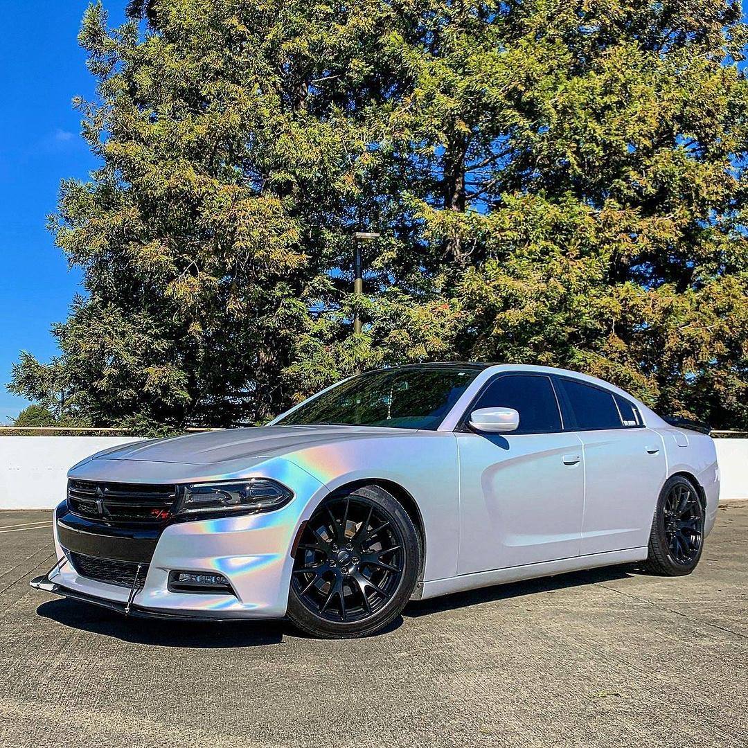 スーパーグリッター RCH03-HD White Fireworks ホワイト花火 カーラッピングフィルム