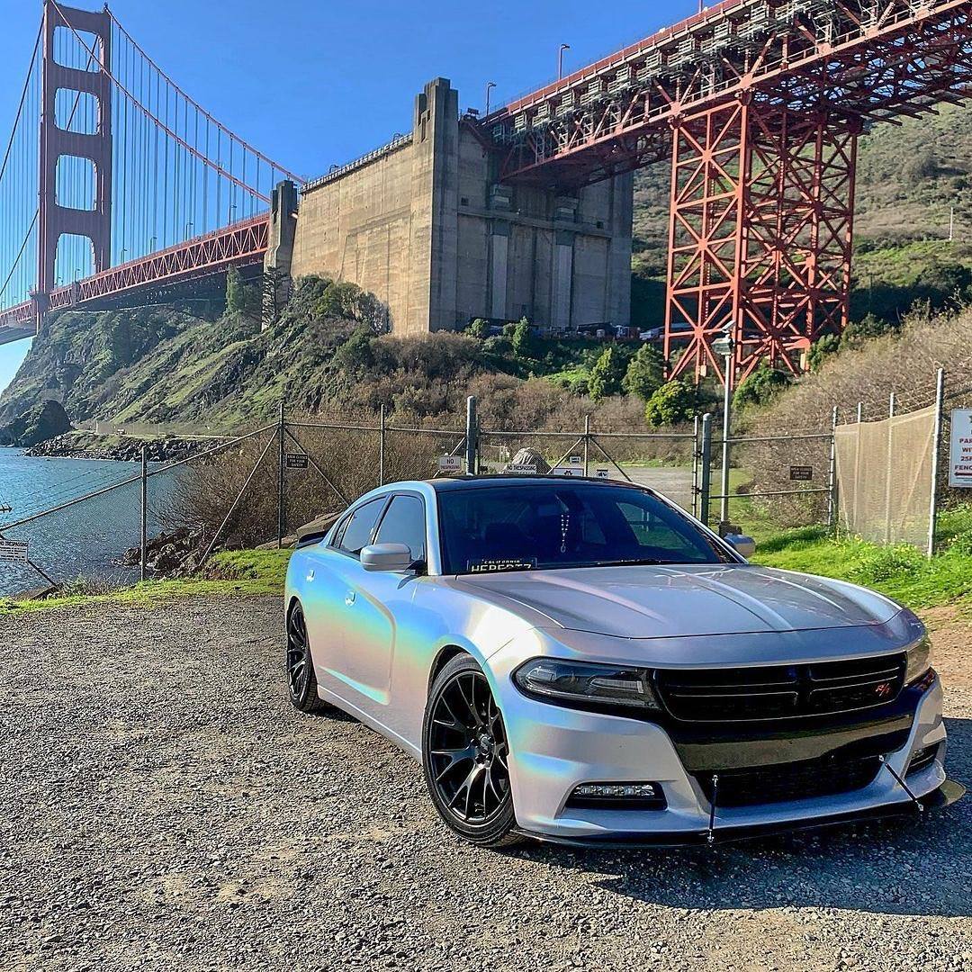 スーパーグリッター RCH03-HD White Fireworks ホワイト花火 カーラッピングフィルム