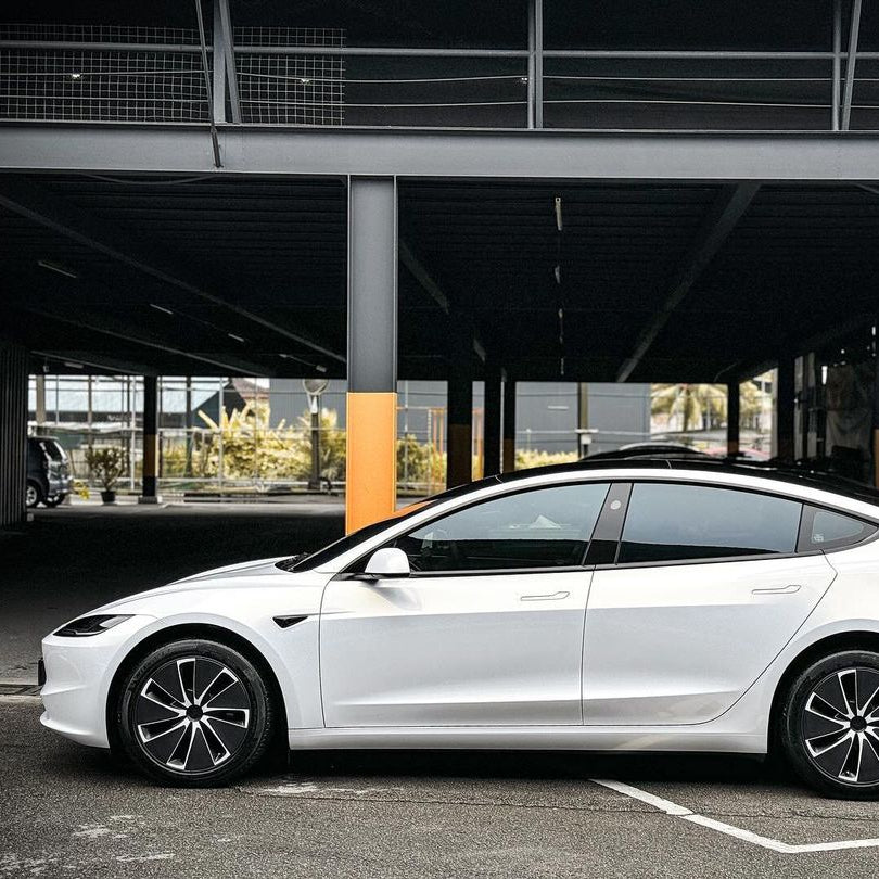 Teckwrap ゴールドパール Gold Pearl (CK525-HD) ホワイト カメレオン