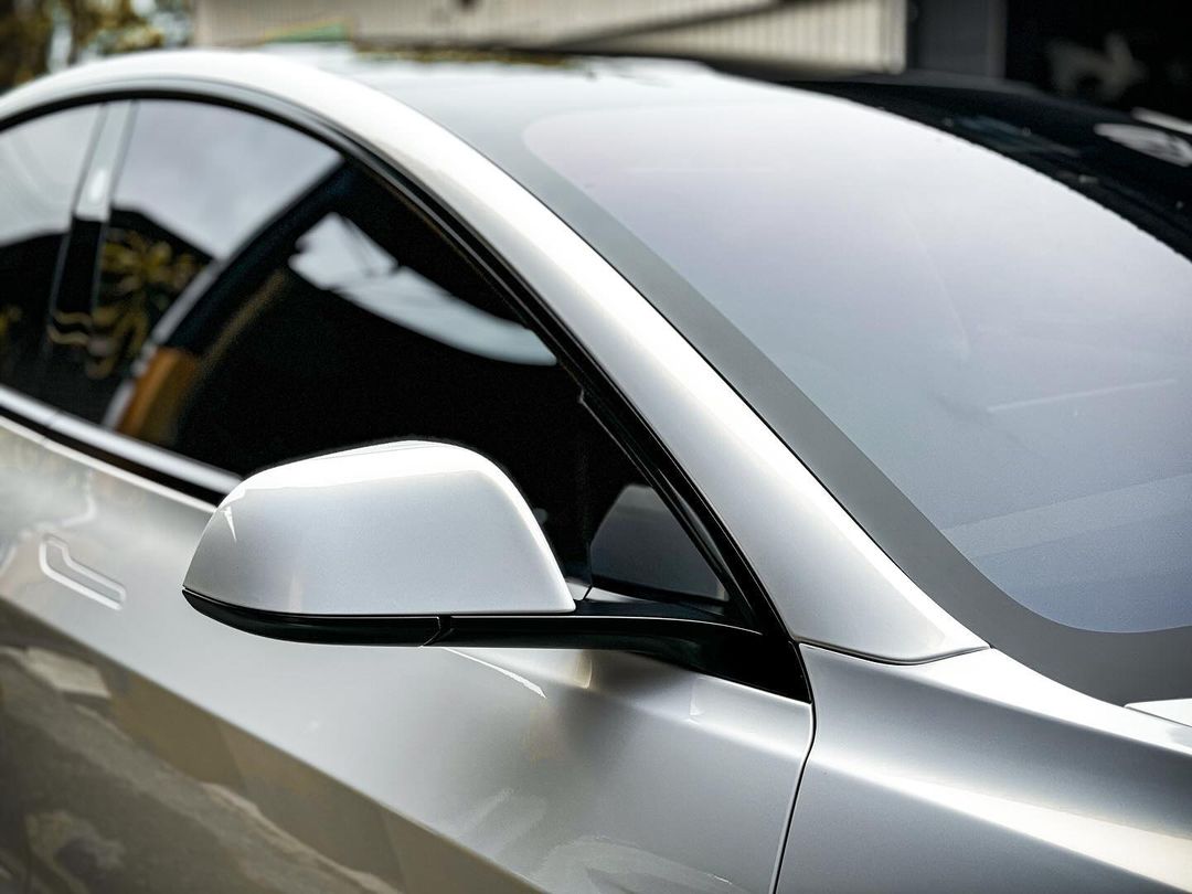 Teckwrap ゴールドパール Gold Pearl (CK525-HD) ホワイト カメレオン