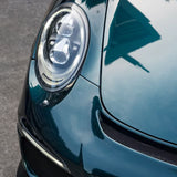 レーシンググリーン Racing Green (CPX413)  メタリック カラー PPF｜グリッター効果 カー ペイント プロテクション フィルム