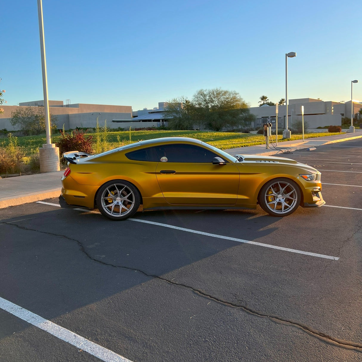 サテン クローム VCH408-S Golden Yellow  ゴールデンイエロー カーラッピングフィルム